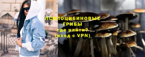 PSILOCYBIN Арсеньев