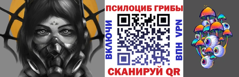 Псилоцибиновые грибы Psilocybine cubensis  Купить  Невельск 