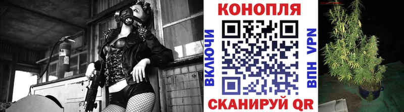 Каннабис конопля  Купить где  Невельск 